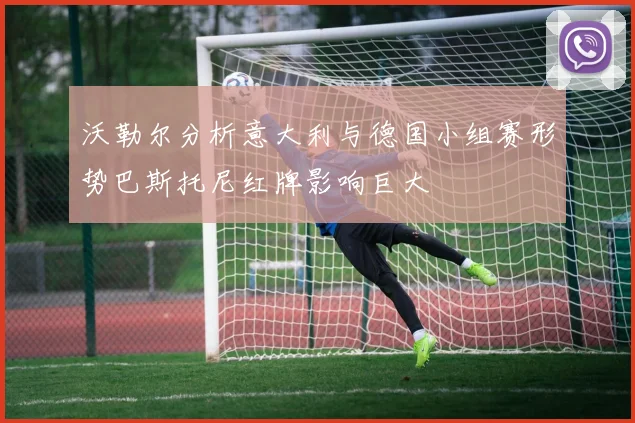 沃勒尔分析意大利与德国小组赛形势巴斯托尼红牌影响巨大