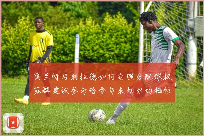 莫兰特与利拉德如何合理分配球权苏群建议参考哈登与米切尔的牺牲精神